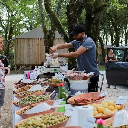4 Etoiles - Piscine - Eeihec