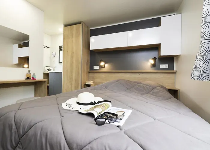 Zecamping 4 Etoiles Animaux Acceptes Piscine Couverte * Loupiac (Lot)