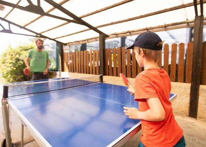 Zecamping 4 Etoiles Animaux Acceptes Piscine Couverte Loupiac (Lot)