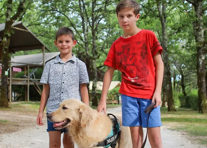 Zecamping 4 Etoiles Animaux Acceptes Piscine Couverte Loupiac (Lot)